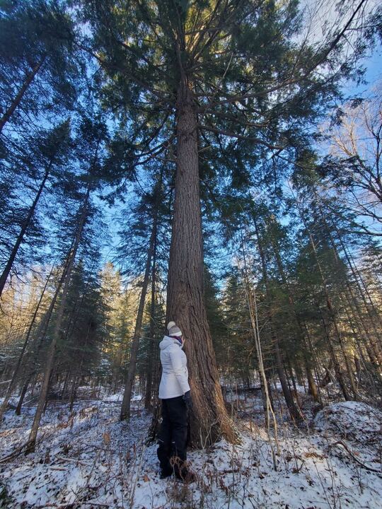 Lady under the tree