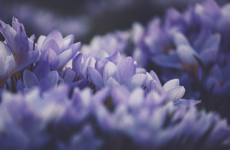 Healing, psychic medium