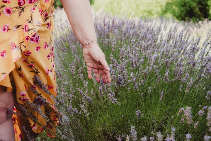 hand touching flowers