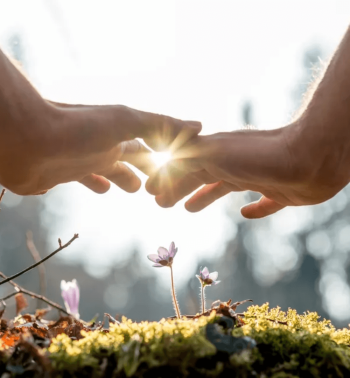 hands with sunrise